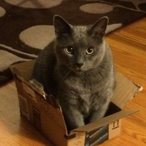 Meet your Posher, John